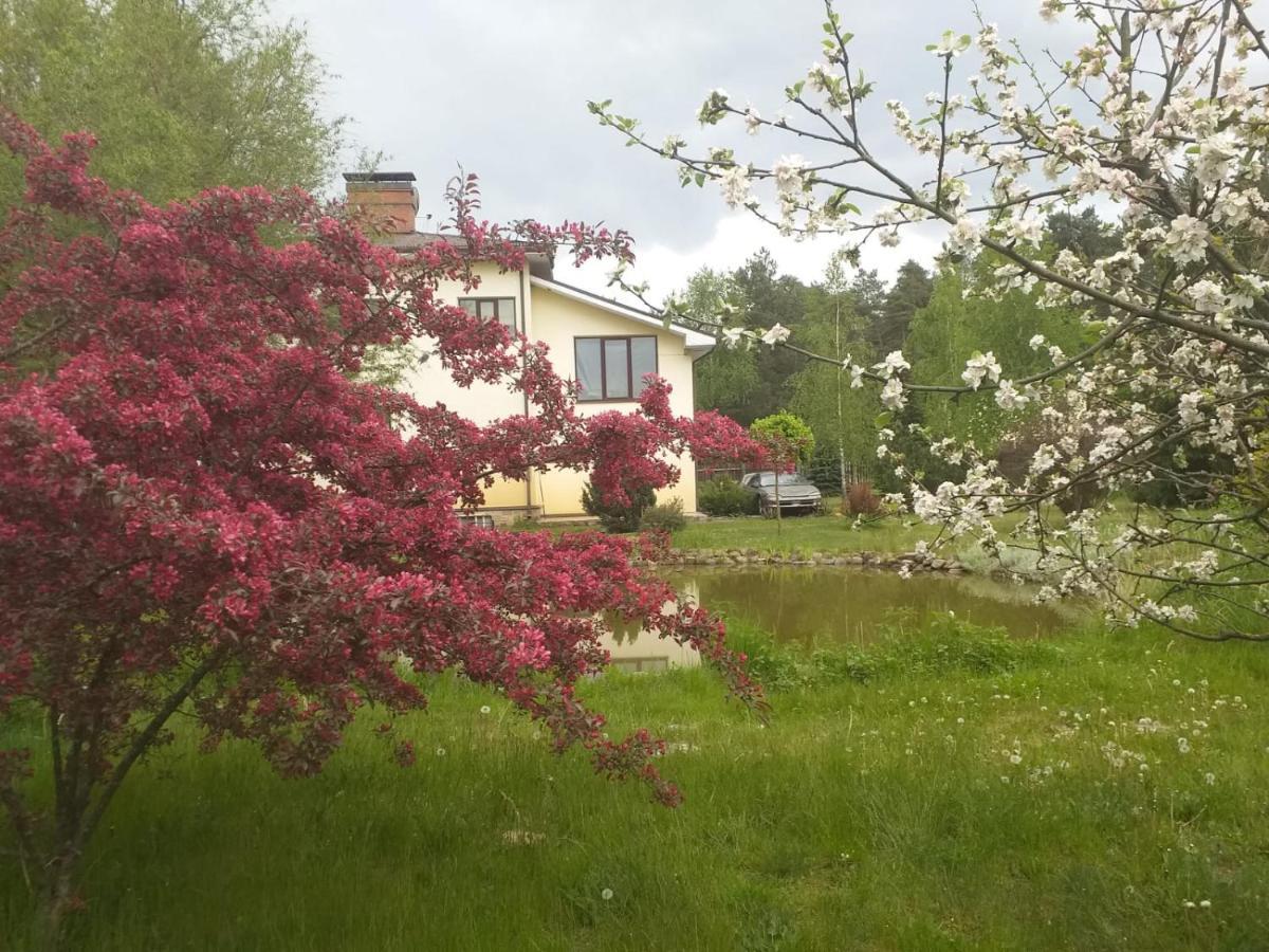 Guest House Pechersky & Sons Dreilini  Екстериор снимка