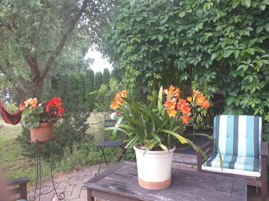 Guest House Pechersky & Sons Dreilini  Екстериор снимка