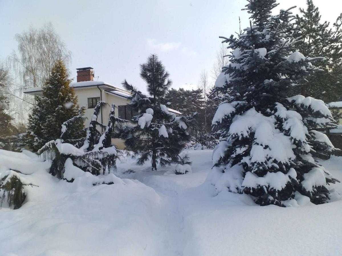 Guest House Pechersky & Sons Dreilini  Екстериор снимка