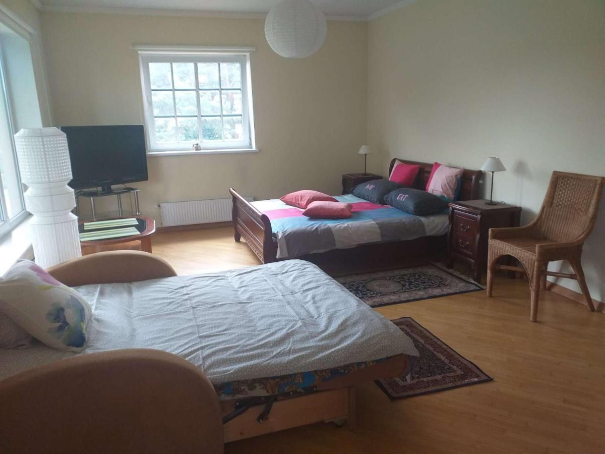 Guest House Pechersky & Sons Dreilini  Екстериор снимка