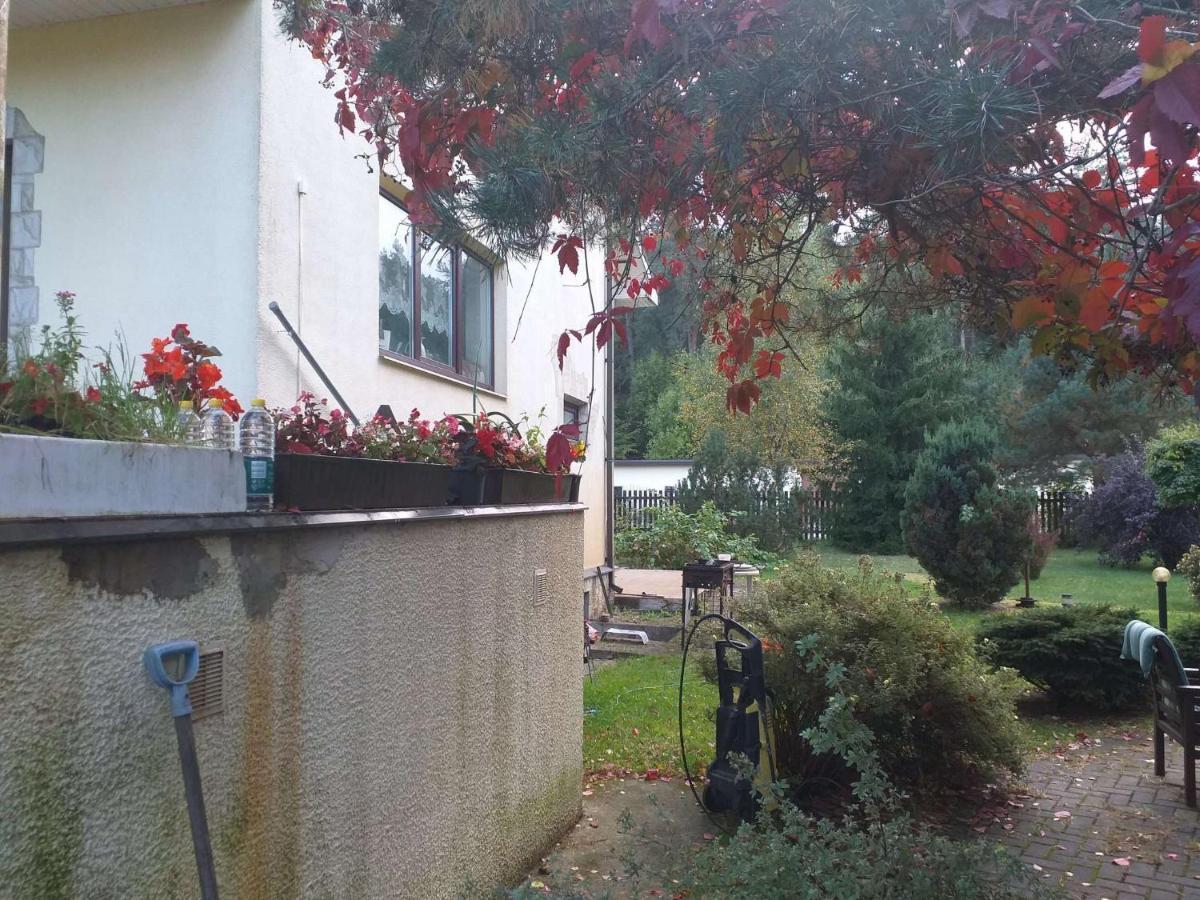 Guest House Pechersky & Sons Dreilini  Екстериор снимка