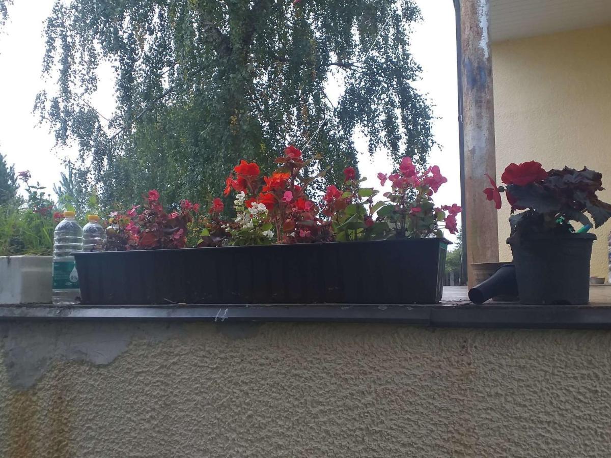 Guest House Pechersky & Sons Dreilini  Екстериор снимка